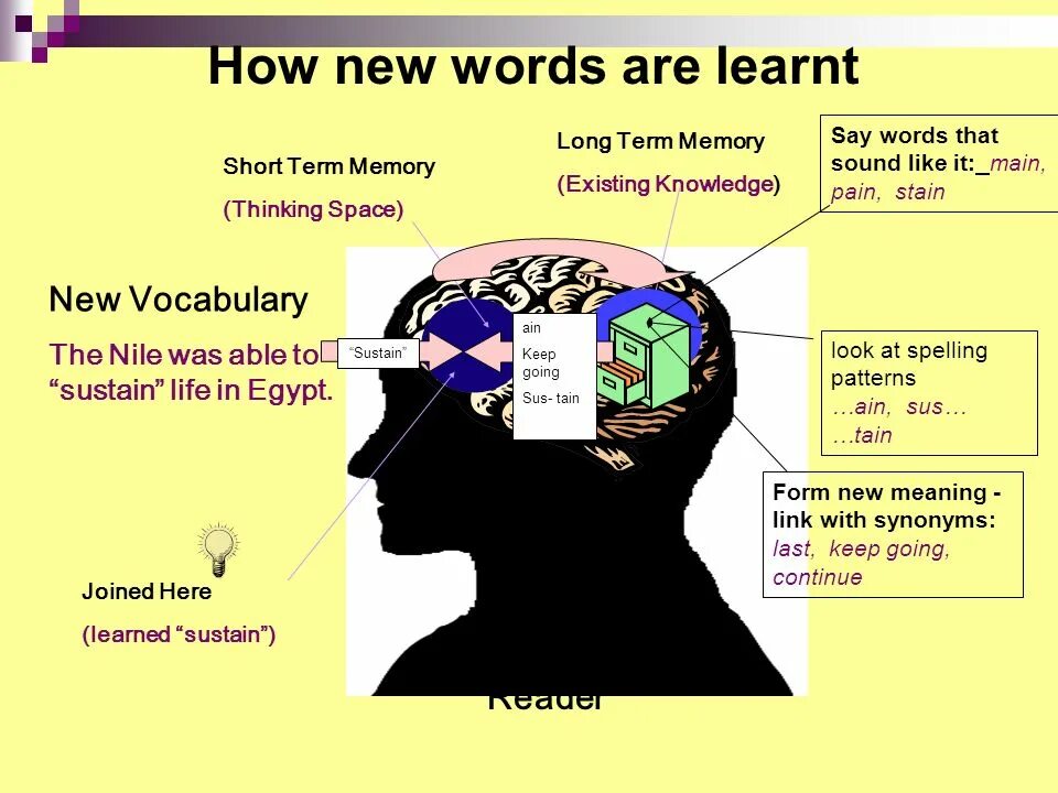 Learned words