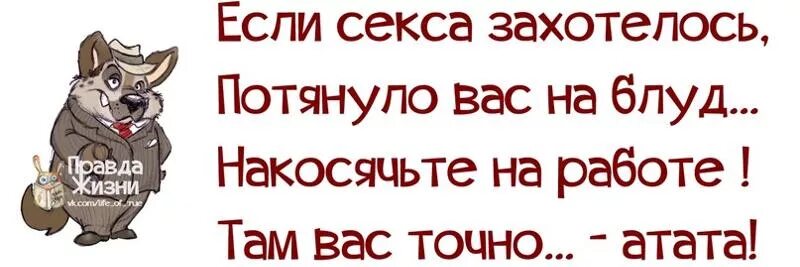 Хватит работать, давай трахаться в жопу