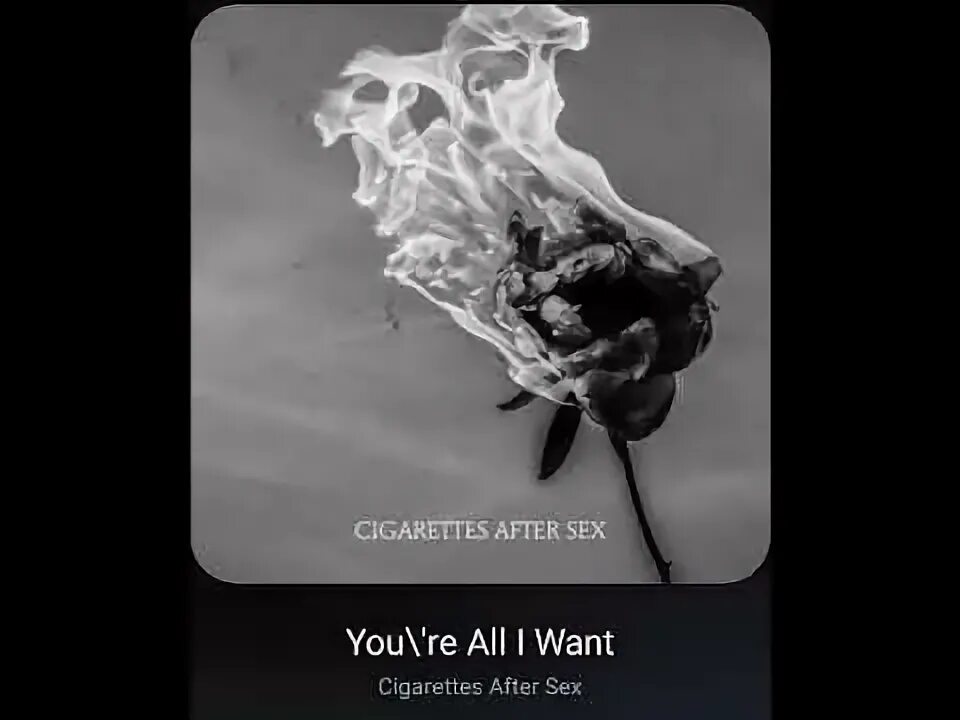 Cigarettes after плейлист. All i wanted was you розы футаж. Crush cigarettes after.