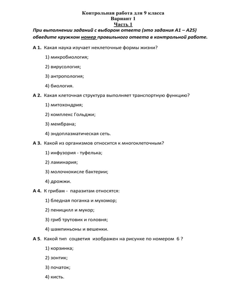 Контрольная по биологии 9 класс. Тест по биологии 9 класс Общие закономерности. Общие закономерности жизни тест. Тест по биологии 9 класс Общие закономерности жизни.