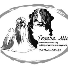 Тесоро мио парфюм. Tesoro mio перевод. Tesoro mio перевод. Mio tesoro black 1. Tesoro mio перевод.