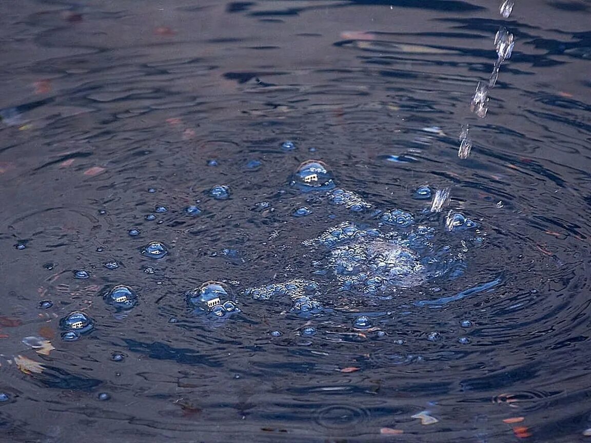 Капли дождя на воде. Дождевая вода. Дождь. Капли дождя. Капля воды.