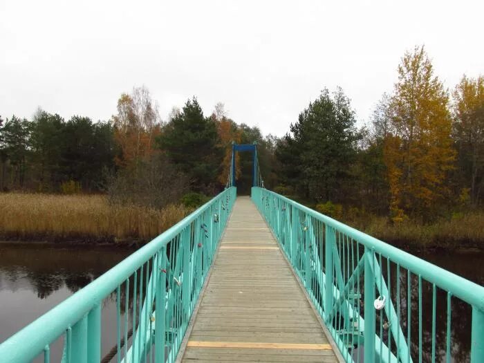 Стадион 76 школа лесной. Пешеходный мост сосновый бор. Памятник деревянной архитектуры, купеческий «дом петрова». Сосновый бор ук домус. Висячие мосты в сосновом бору.