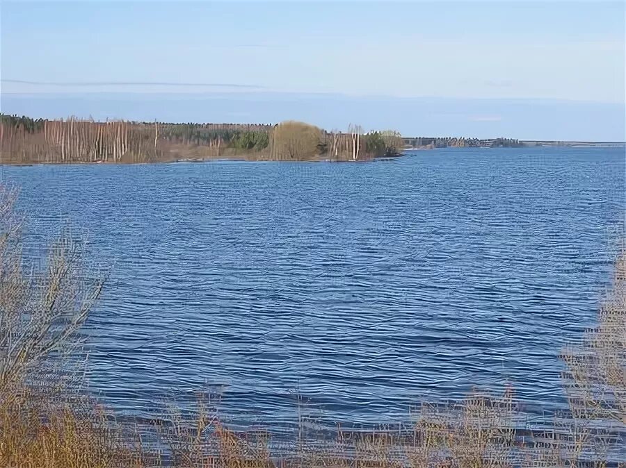 Озеро торос карелия. Вилейское водохранилище фото. Сосенка вилейский. Сосëнка. Сосенка вилейский.