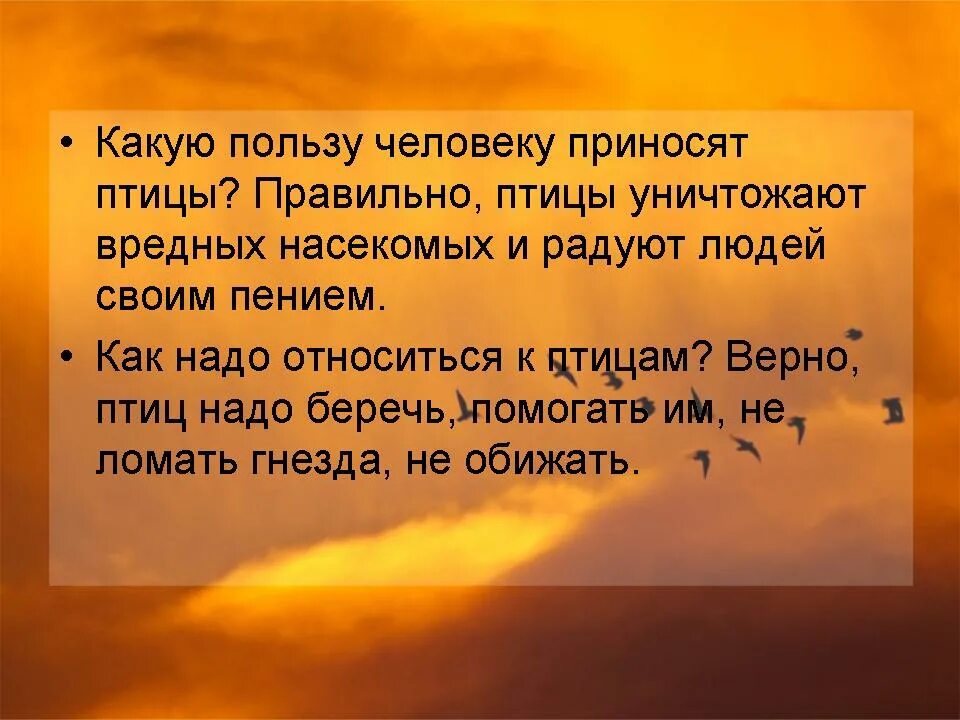 Какую пользу приносит снег. Какую пользу приносит лес людям. Какую пользу приносят домашние животные человеку. Повествование примеры предложений. Человек который принес пользу обществу.