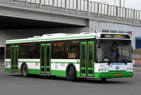 Автобус 1 зеленоград
