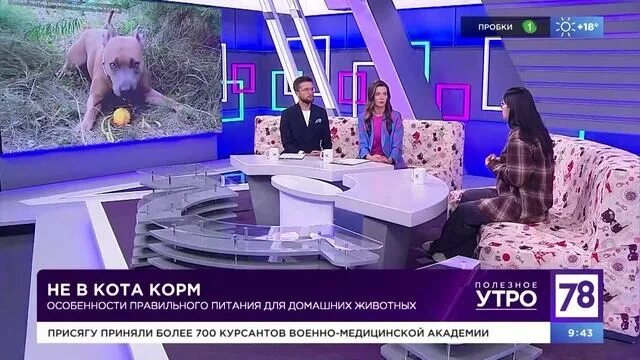 Канал 78 утро