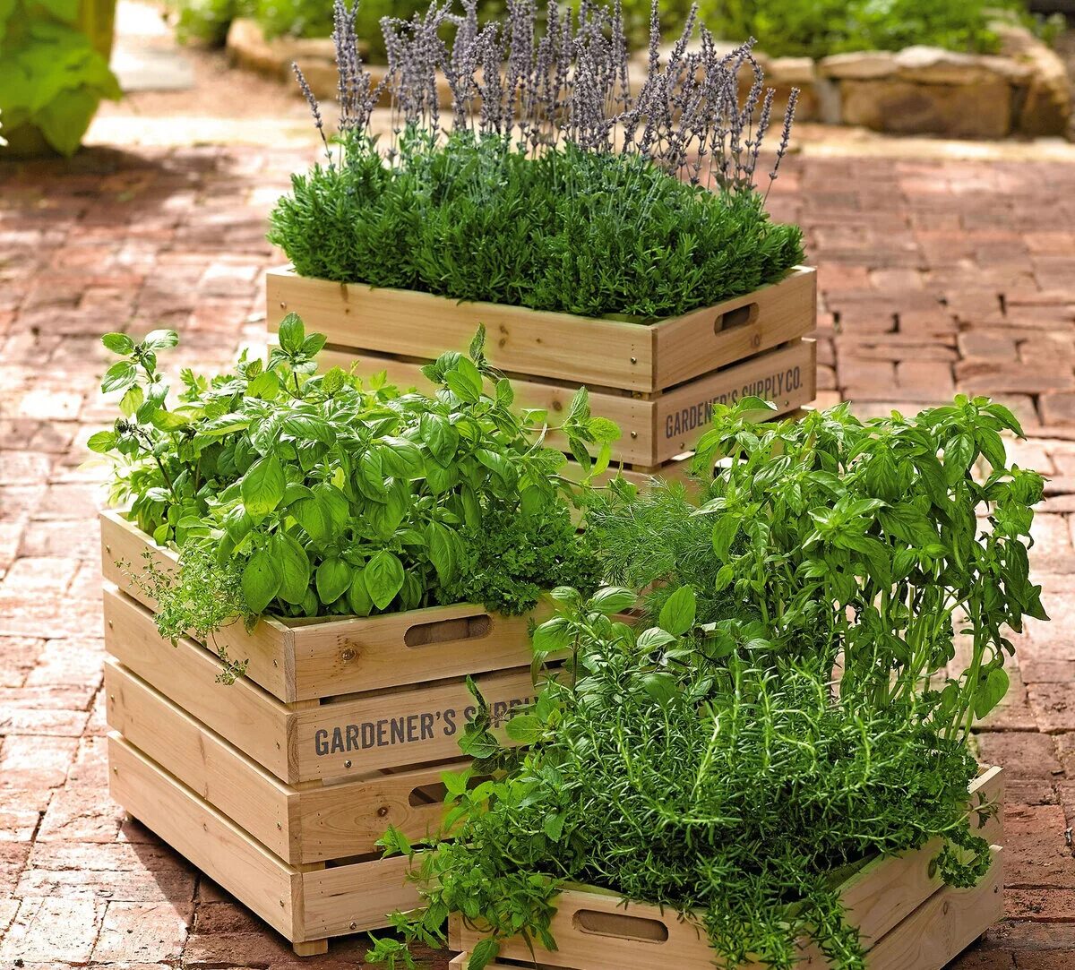 Ящики для посадки зелени. Зелень на подоконнике. Ярусные грядки. Деревянный ящик для раасад. Ящик для зелени.