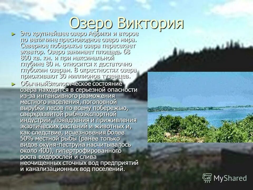 Байкал пресноводное озеро в восточной сибири находящееся. Соленость онежского озера. Крупнейшее озеро европы. Второе по величине пресноводное озеро. Самое большое озеро в мире по площади.