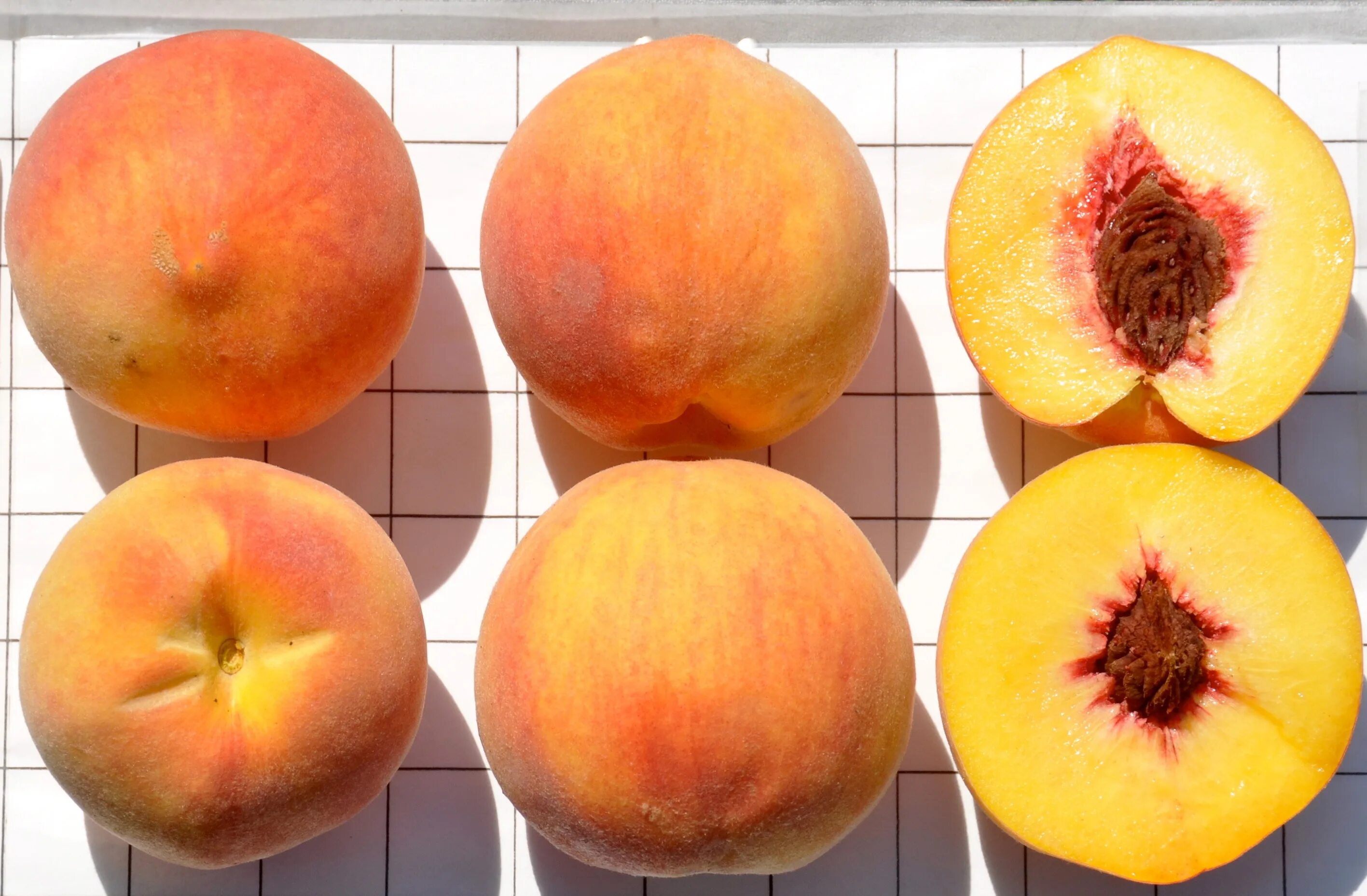 Персик и нектарин. Чем отличается персик от. Сорт приплюснутых персиков. Чем отличается персик от. Персик и нектарин.