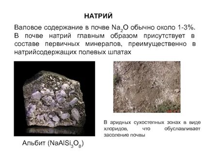 Натрий содержание
