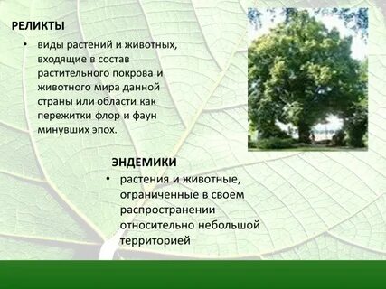 Реликтовые виды