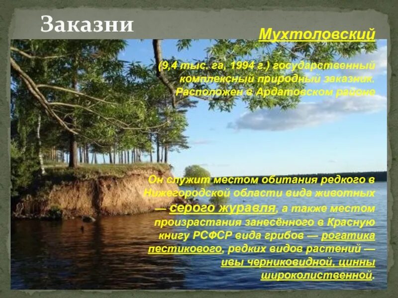 Об этом заповедном месте написано многое грамматическая