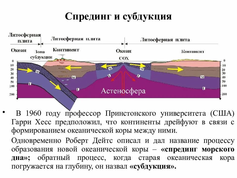 Что формируется в зоне расхождения литосферных плит. Движение литосферных плит. зоны спрединга.. спрединг субдукция коллизия. зоны спрединга, зоны субдукции. зоны спрединга и субдукции движение континентов.