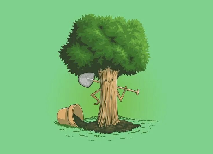 It is not a tree. Покажи майк деревянный. sapling tree gen..