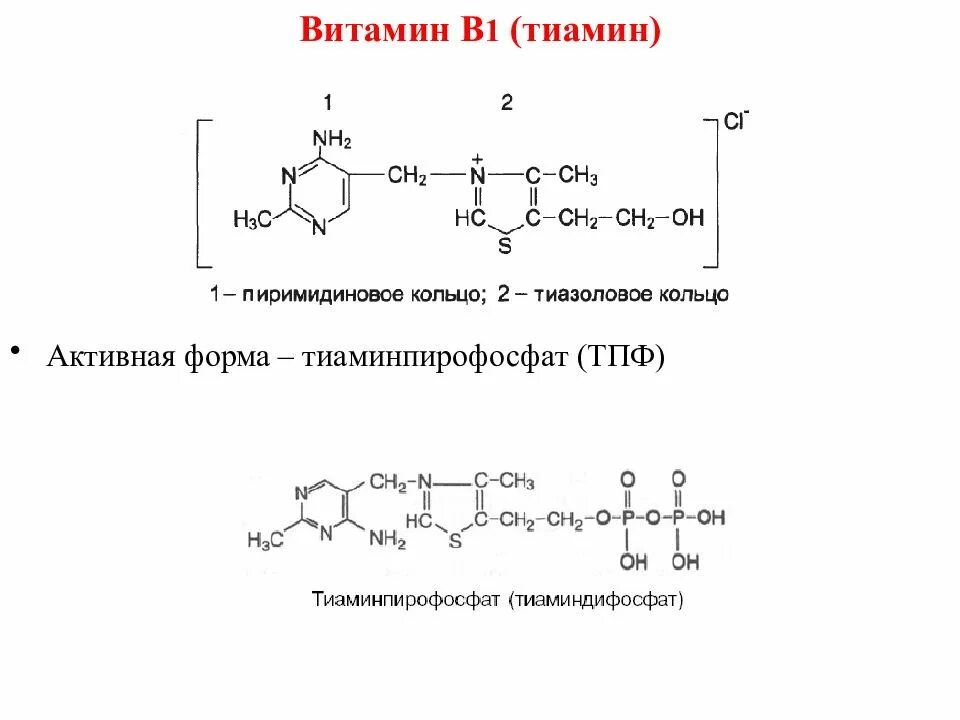 Тиаминпирофосфат (ТПФ). Активная форма витамина b2. Рибофлавин активная форма витамина. Кобаламин активная форма.