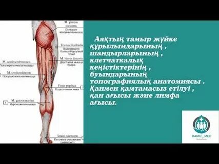 Үйде жасалған порно қабілетсіз