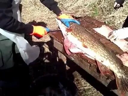 Аня щук видео