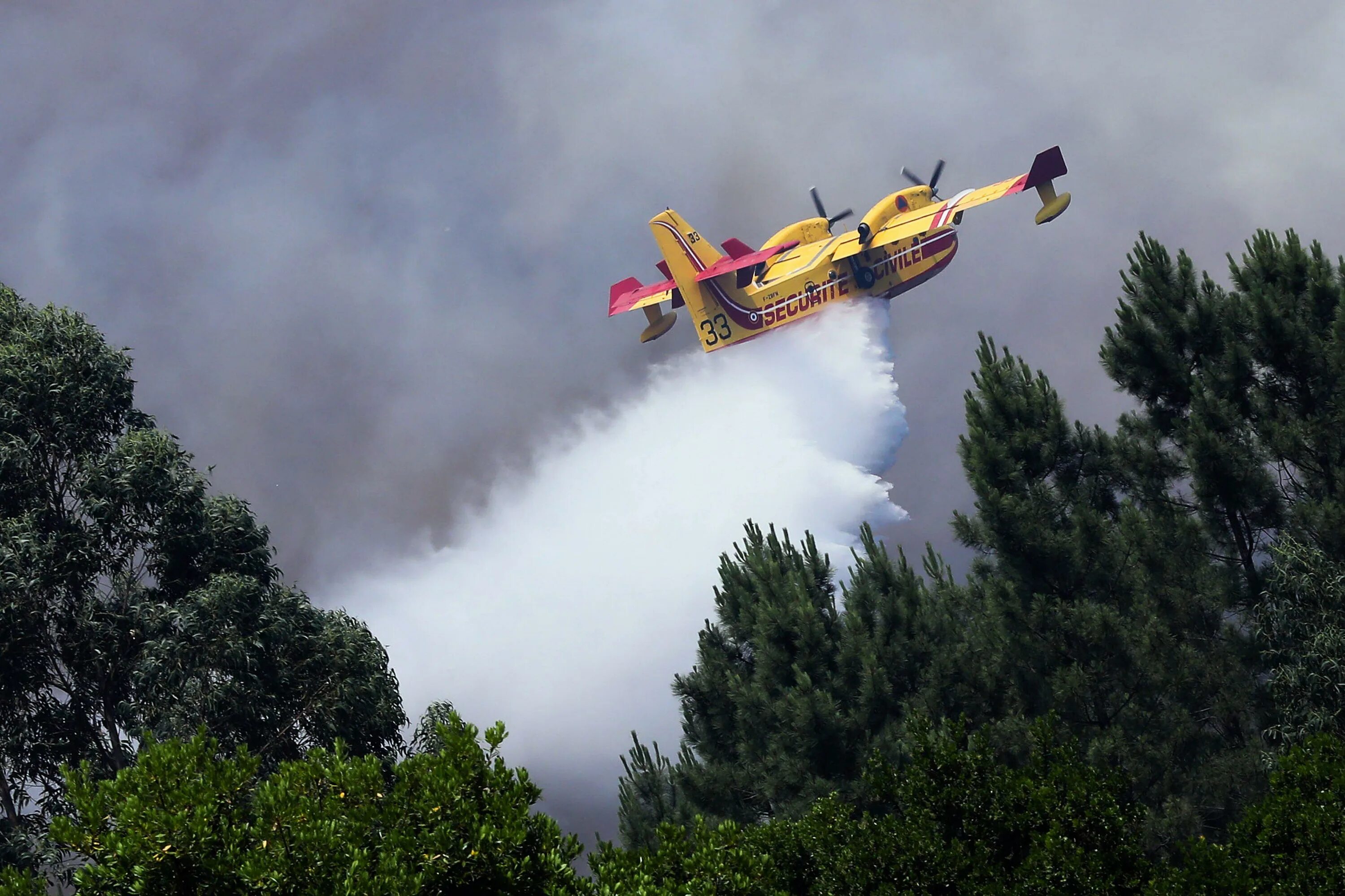 В каком году появились пожарные самолеты. Canadair самолеты тушения. Пожарный самолет. Самолёт для тушения лесных пожаров. Американский пожарный самолет.