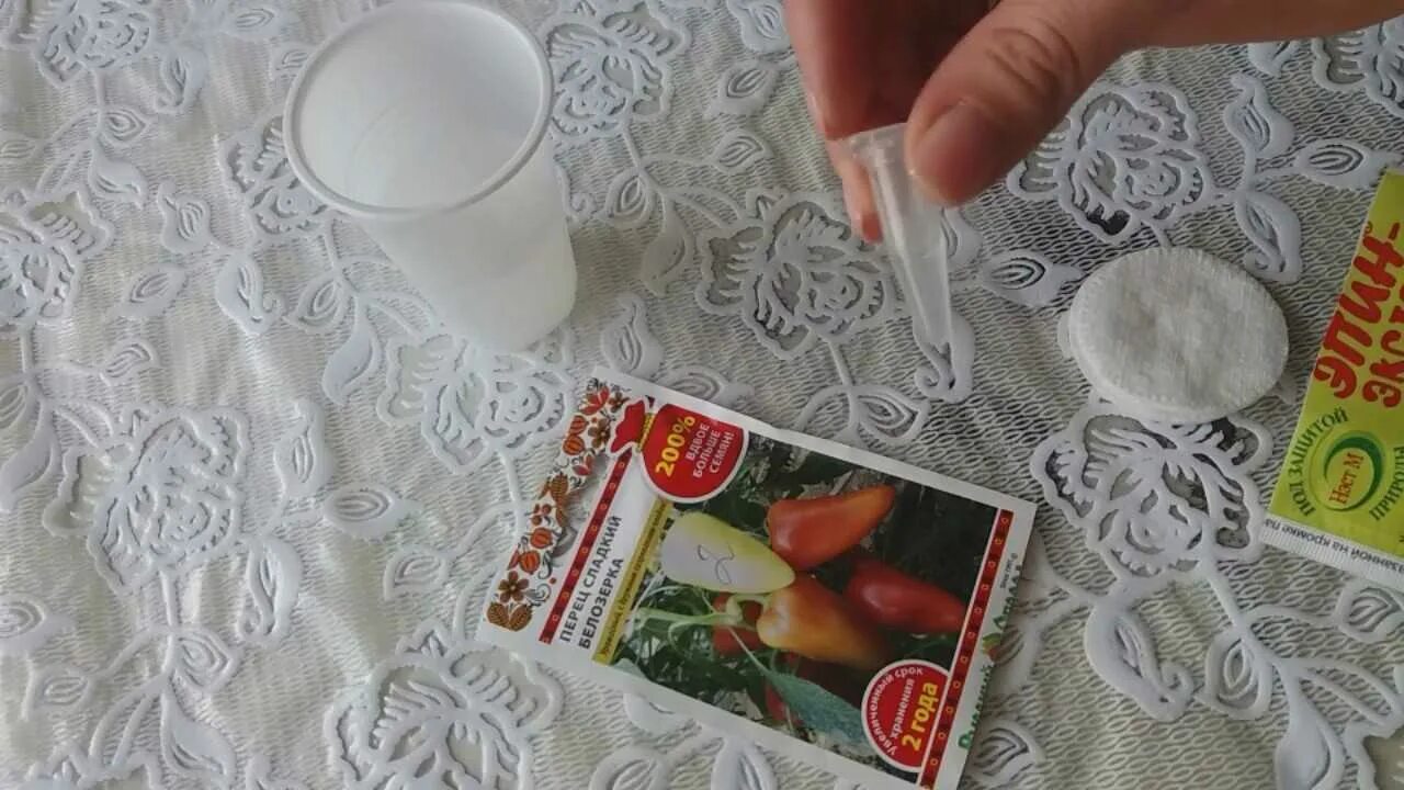 Как правильно замачивать помидоры перед посадкой. Замочить семена томатов в эпине. замачивание семян в эпине перед посадкой. семена замоченные в эпине перед посадкой перца. замачивание семян перца эпином перед посадкой.