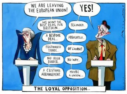 More loyal