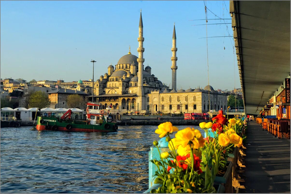 Султанахмет Стамбул тюльпаны. Стамбул Турция весной. Стамбул Турция в апреле.