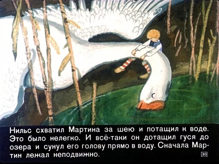 Приключение нильса слушать. Чудесное путешествие Нильса с дикими гусями. Путешествие Нильса с дикими гусями диафильм.