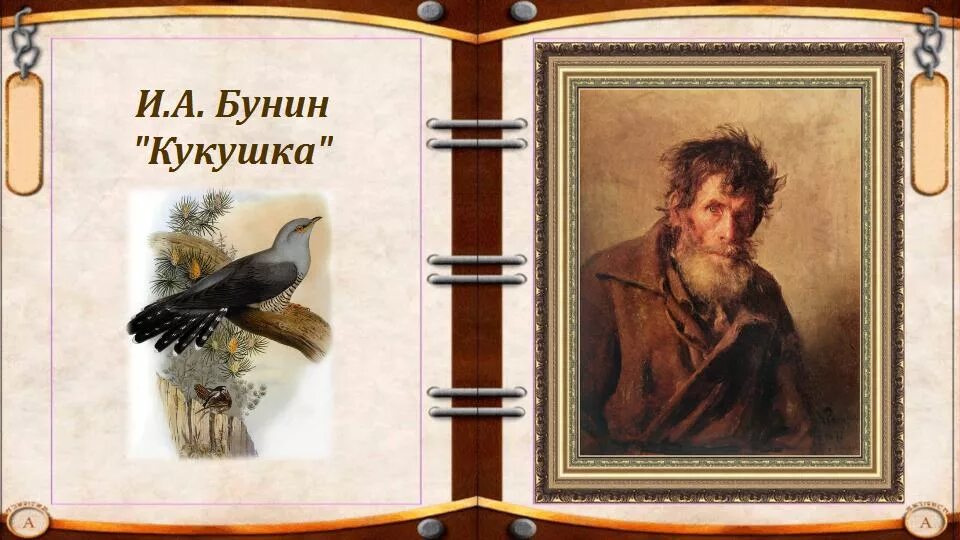 Кукушка читать краткое содержание. Бунин кукушка. рассказ кукушка бунин. кукушка бунин иллюстрации. произведение кукушка бунин.