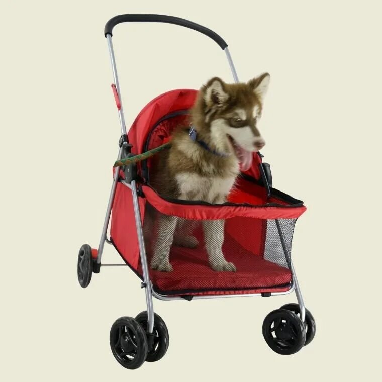 коляска для маленьких собак. коляска для собаки petstro stroller skyline / aventura xl 701gx-rd rot | buggy wagen show poussette. коляска togfit для маленьких собак весом до 15кг. коляска для собак до 30 кг. коляска для собак прогулочная.