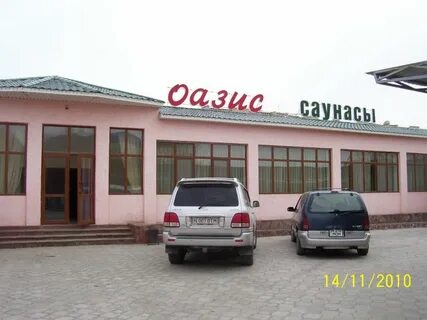 Оазис борзя