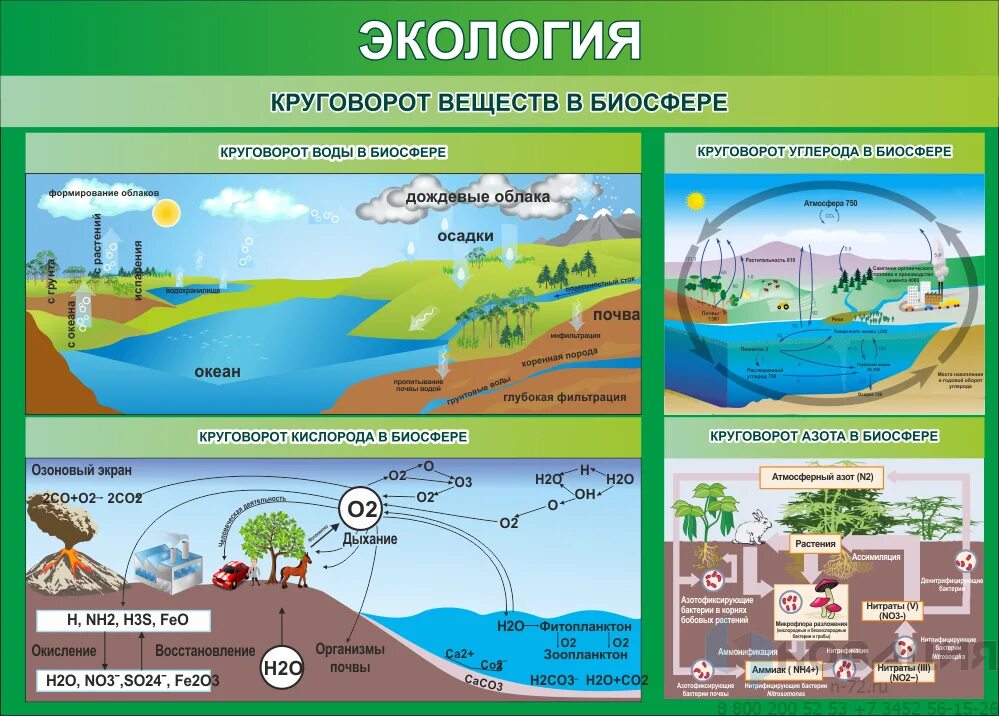 Изменение веществ в окружающей среде