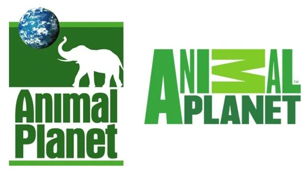 Логотип анимал планет. Значок animal planet. Телеканал animal planet. Телеканал animal planet. Onet animal.
