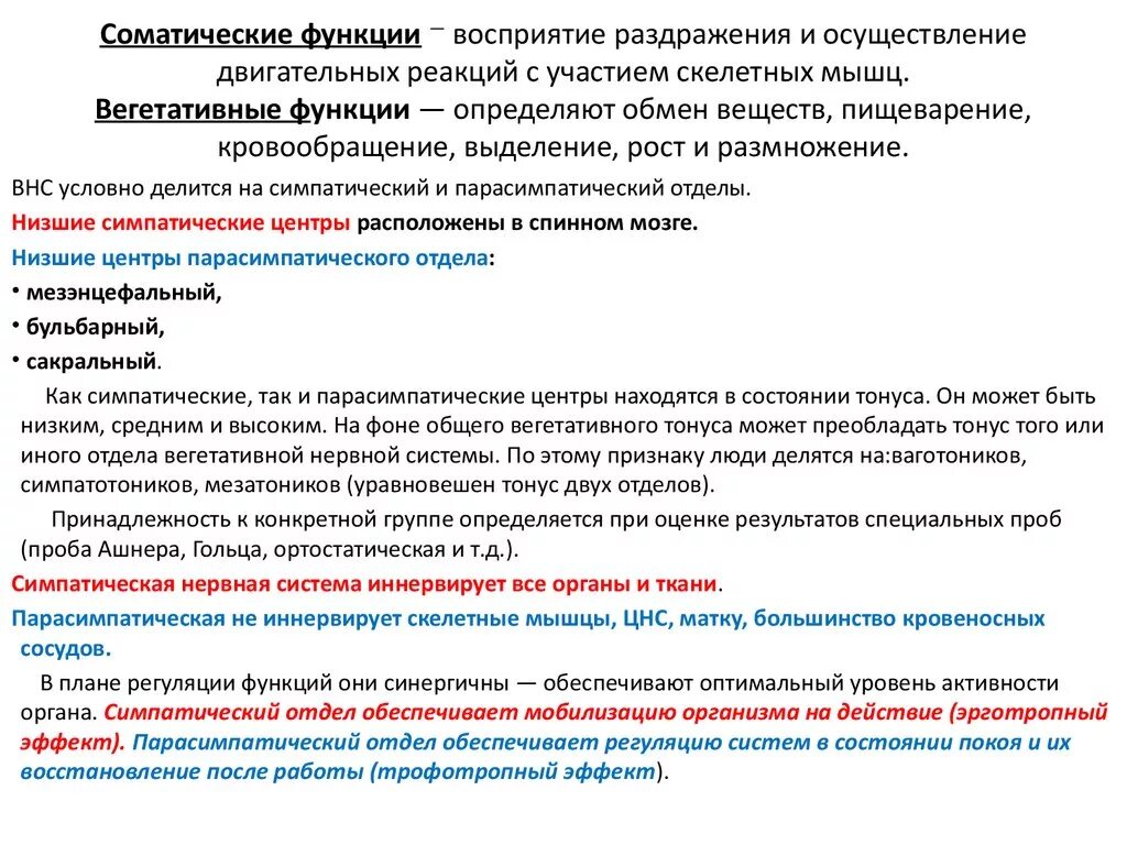 Функции соматической системы. Соматические функции. роль соматической системы. соматическая часть функции.