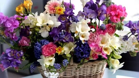 Цветы flowers