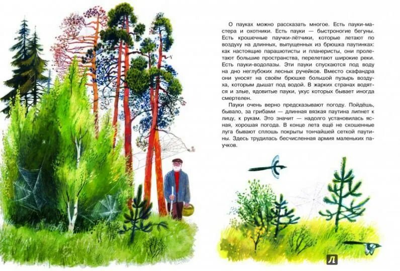 Истории на природе 5 класс. Рассказы о природе. маленький рассказ о природе. произведения о природе. рассказы о природе для детей.