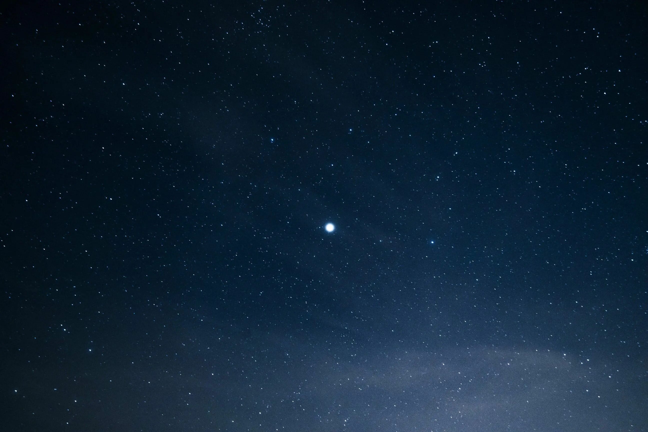 North star sky. North star sky. North star sky. Северное сияние над лесом. North star sky.