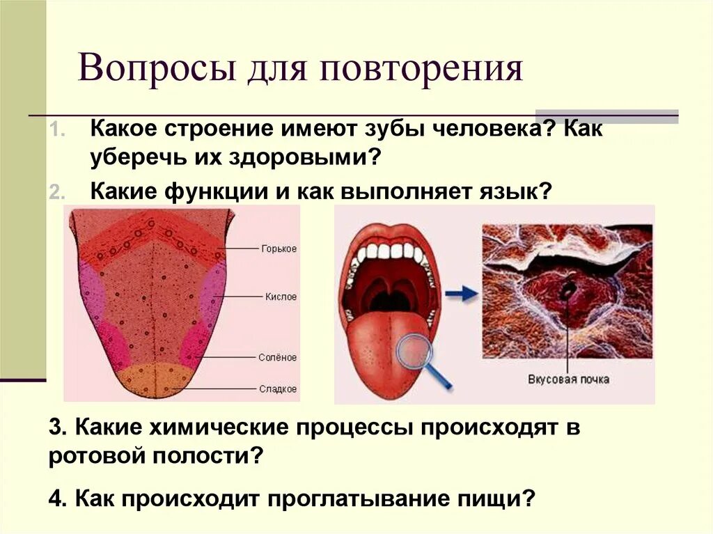 Основные функции языка конспект урока 10 класс