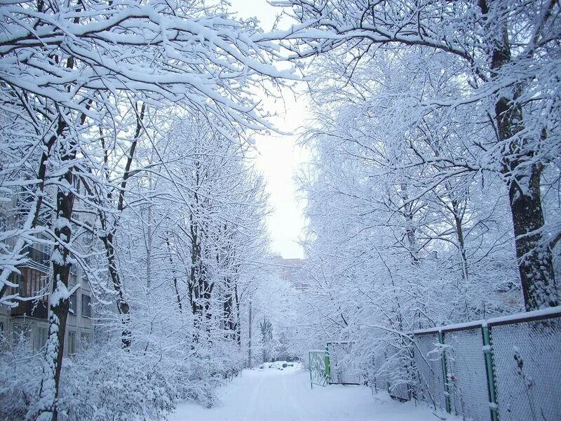 снег вообще идет. снег вообще идет. долгопрудный снег идет. снег вообще идет. перезимуем весну.
