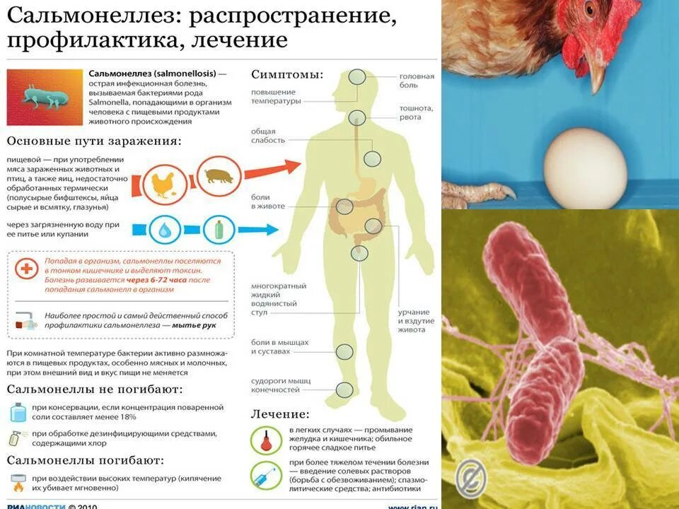 Изменяется ли внешний вид при сальмонелл. Сальмонеллез возбудитель пути заражения симптомы. сальмонеллез симптомы возбудитель заболевание. профилактика болезни сальмонеллез. сальмонеллез схема заражения.