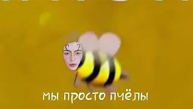 Хорошая песня ты пчела я пчеловод. Мы просто пчелы. БЖ БЖ мы просто пчелы. Пчел ты. Мы просто пчелы мы просто пчелы.