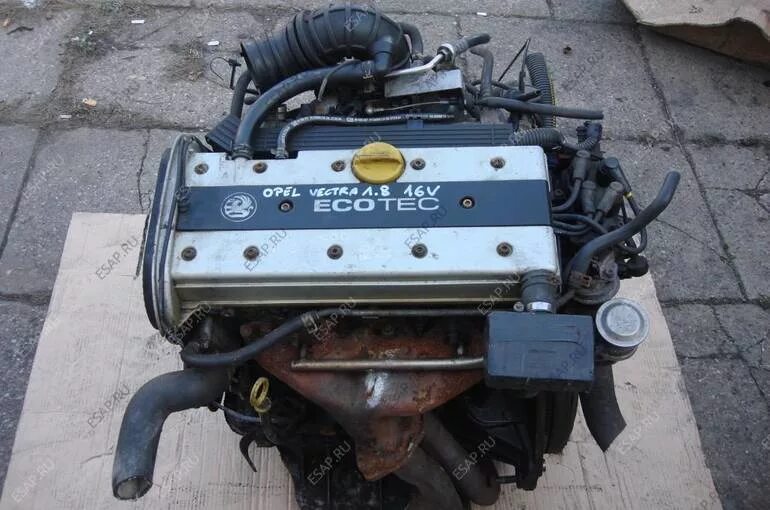 Двигатель опель вектра б 1.8. Opel Vectra b 1.8 мотор. Опель Вектра 1 8 16v. Двигатель Опель Вектра с 1.8. ДВС на Опель Вектра 1.8.