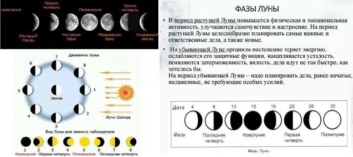 Фазы Луны. Виды Луны и названия фазы. Название лунных фаз. Таблица лунных фаз. Два новолуния