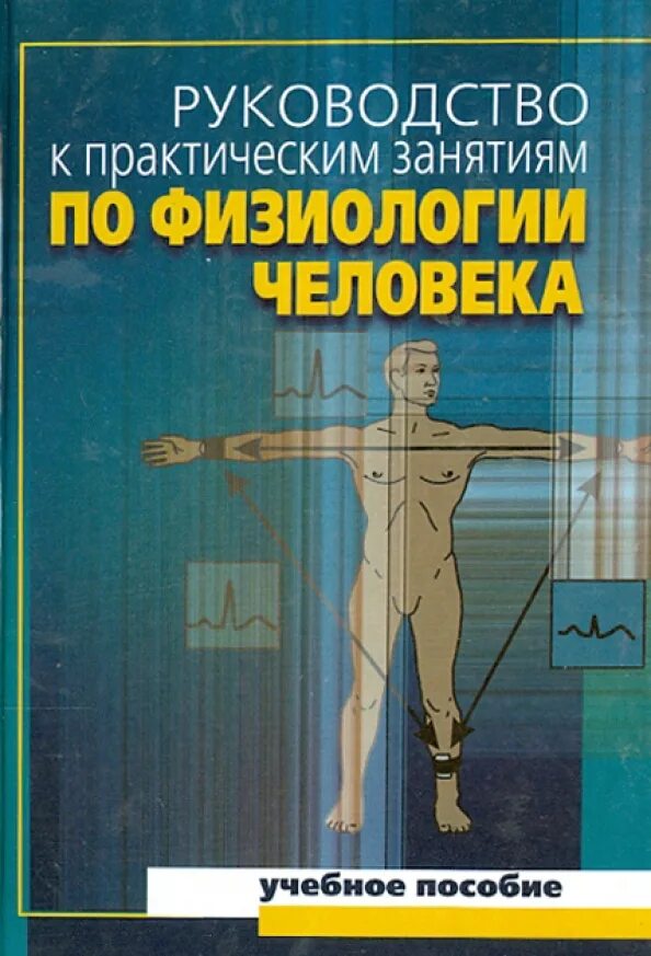 Физиология человека и животных. Руководство по физиологии. руководство к практическим занятиям по нормальной физиологии. руководство к практическим занятиям по физиологии человека солодков. руководство по физиологии книга.