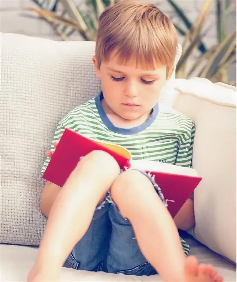 Что самостоятельно почитать мальчику 8 лет. Boy reads childporn.