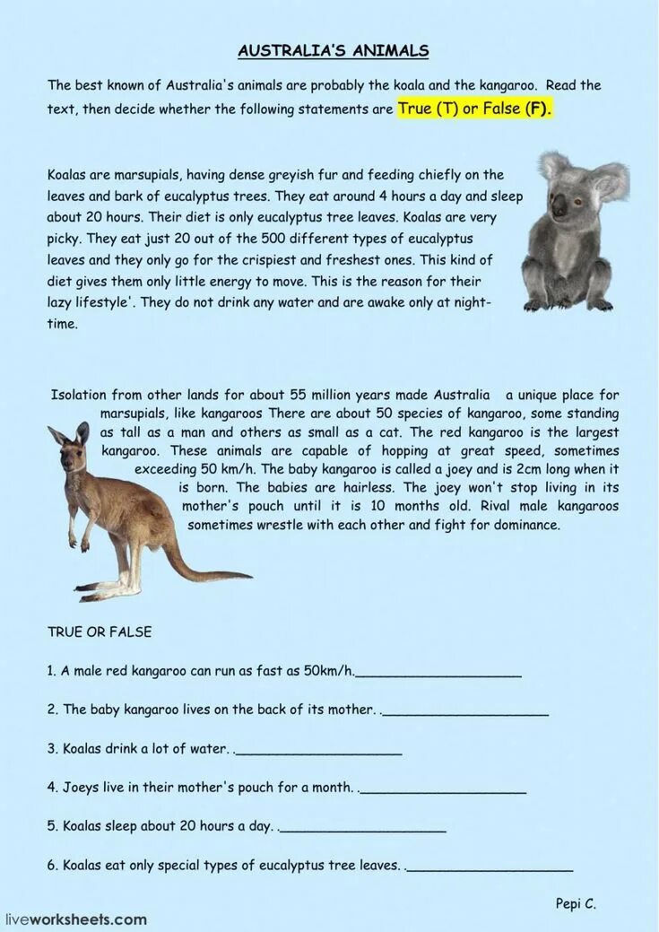 Wild animals as pets essay. Reading Comprehension животные английский для детей. Австралия Worksheets. Английский язык Австралия задания. Animals текст.