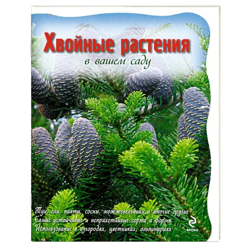 Книги хвойных. Хвойники книжка. Книги про хвойные растения. Каталог хвойных растений. Книга деревья хвойные.