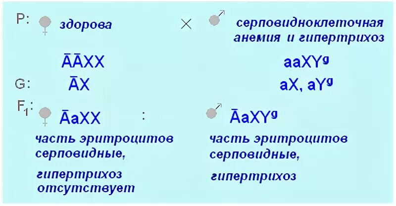Определите генотипы родительских растений гороха