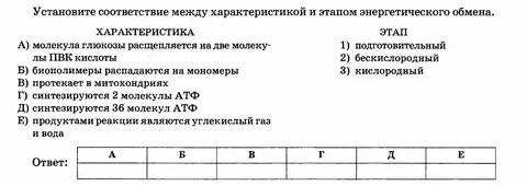 Задачи на энергетический обмен