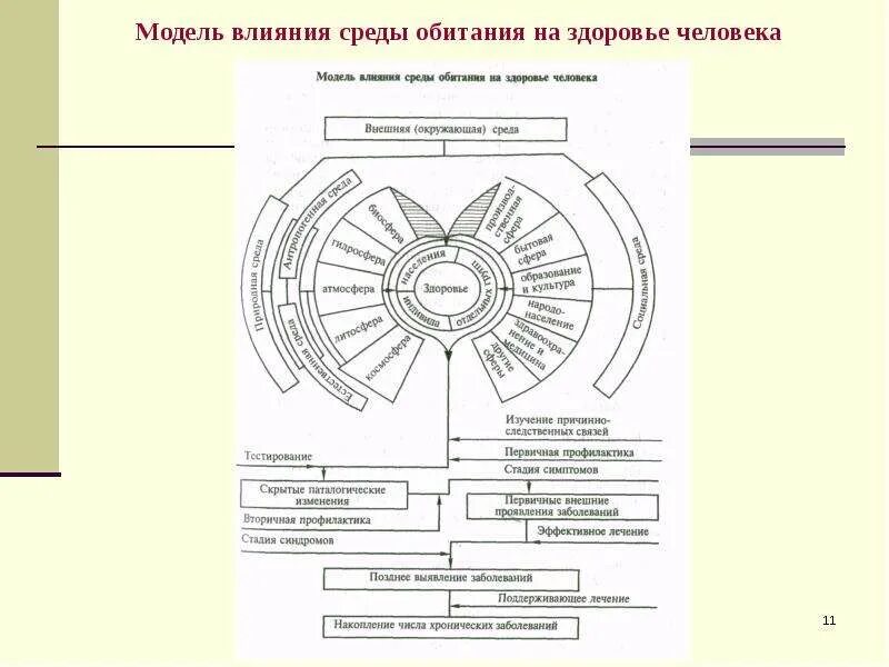 Модель влияния среды обитания на здоровье человека. Макет влияния человека на окружающую среду. Модели влияния на человека. Схема окружающей среды человека.