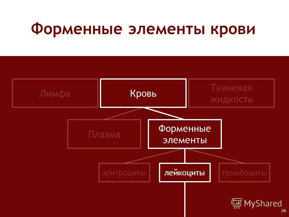 Таблица по биологии 8 класс внутренняя среда организма кровь. Внутренняя среда организма таблица по биологии 8 класс. Тканевая жидкость форменные элементы. Внутренняя среда организма состав крови. Тканевая жидкость форменные элементы клетки и пластинки.